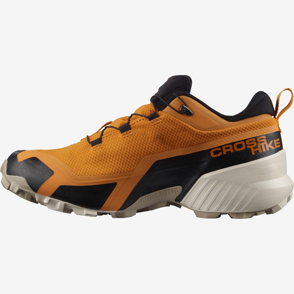 Salomon CROSS HIKE GORE-TEX Túracipő Férfi Szürke/Fekete | HU329578