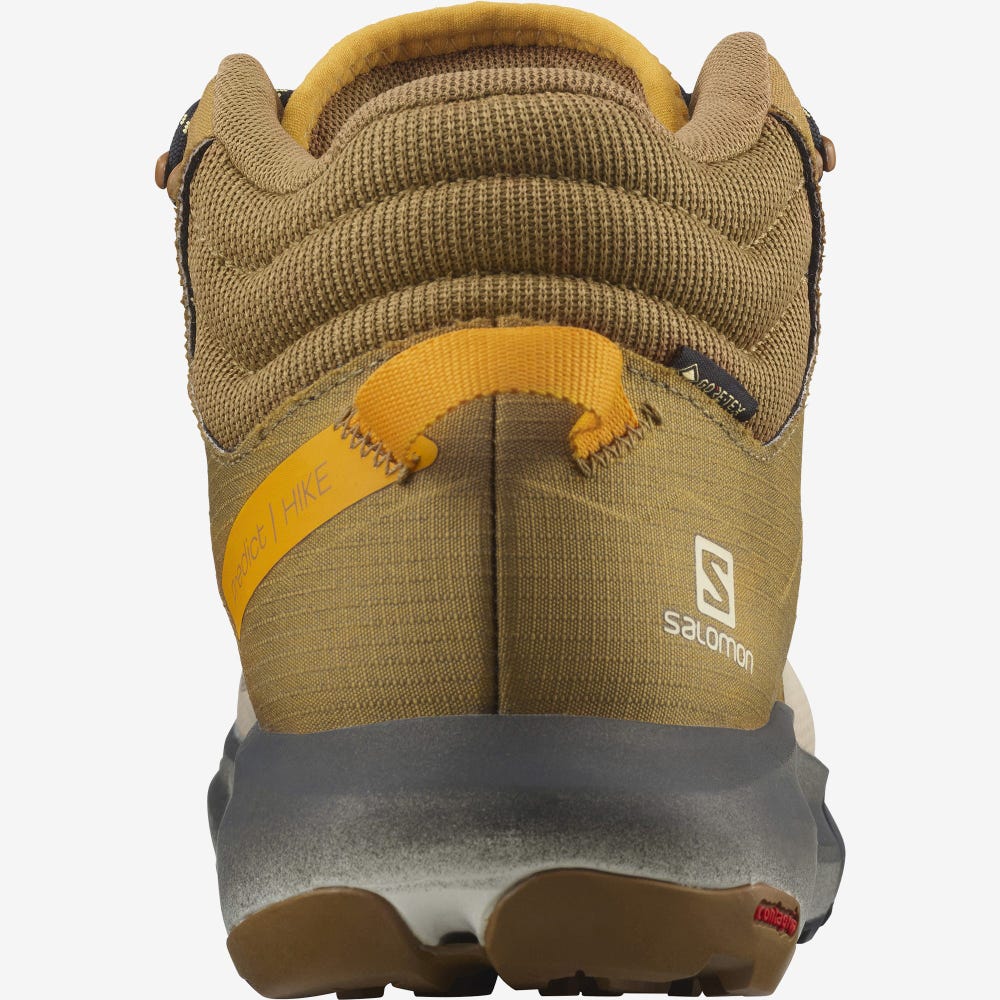 Salomon PREDICT HIKE MID GORE-TEX Túrabakancs Férfi Barna/Bézs | HU520476