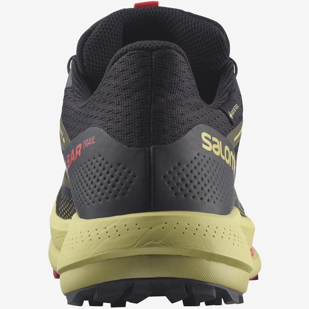 Salomon PULSAR TRAIL GORE-TEX Terepfutó Cipő Férfi Fekete/Zöld/Piros | HU328614