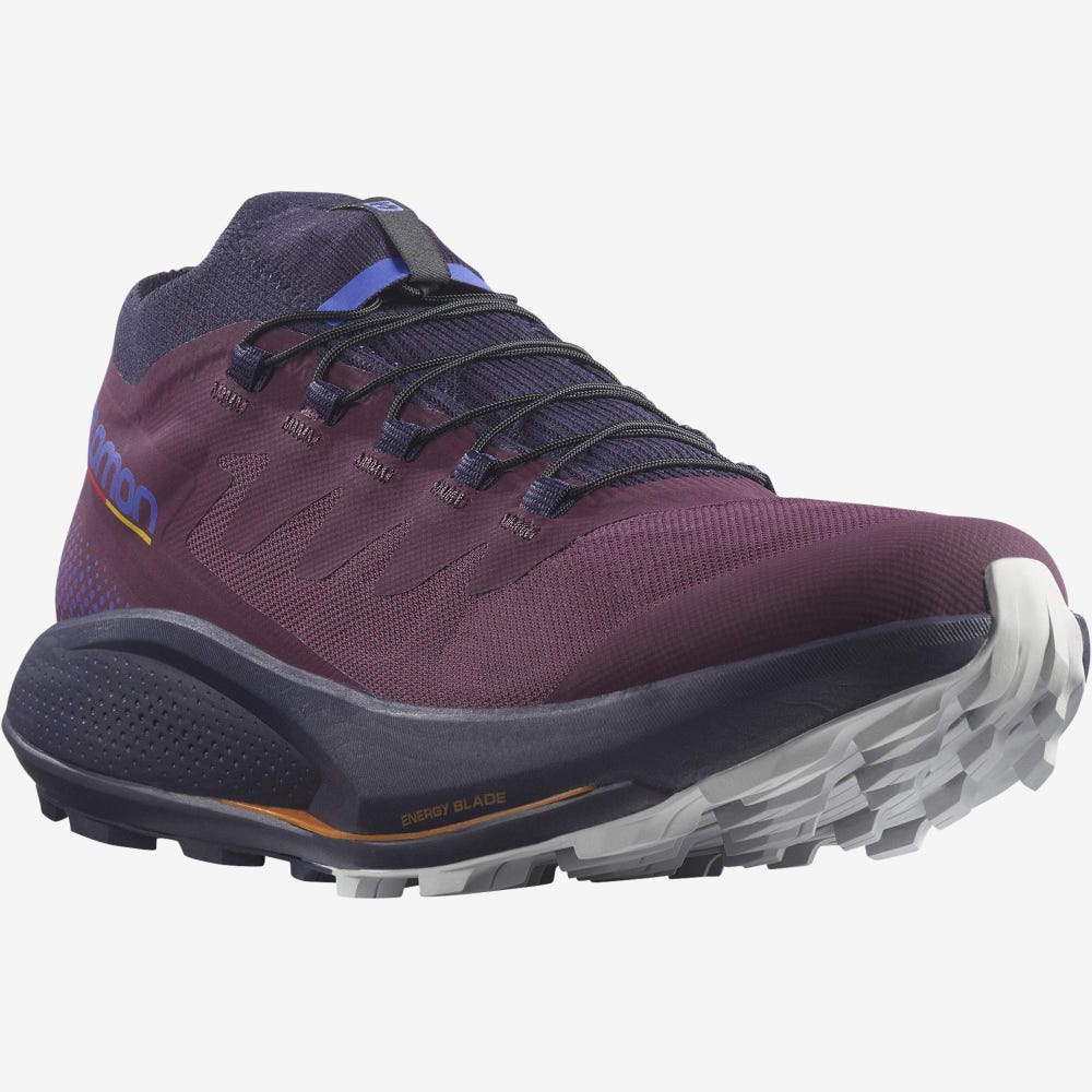 Salomon PULSAR TRAIL PRO Terepfutó Cipő Női Lila/Kék | HU137652