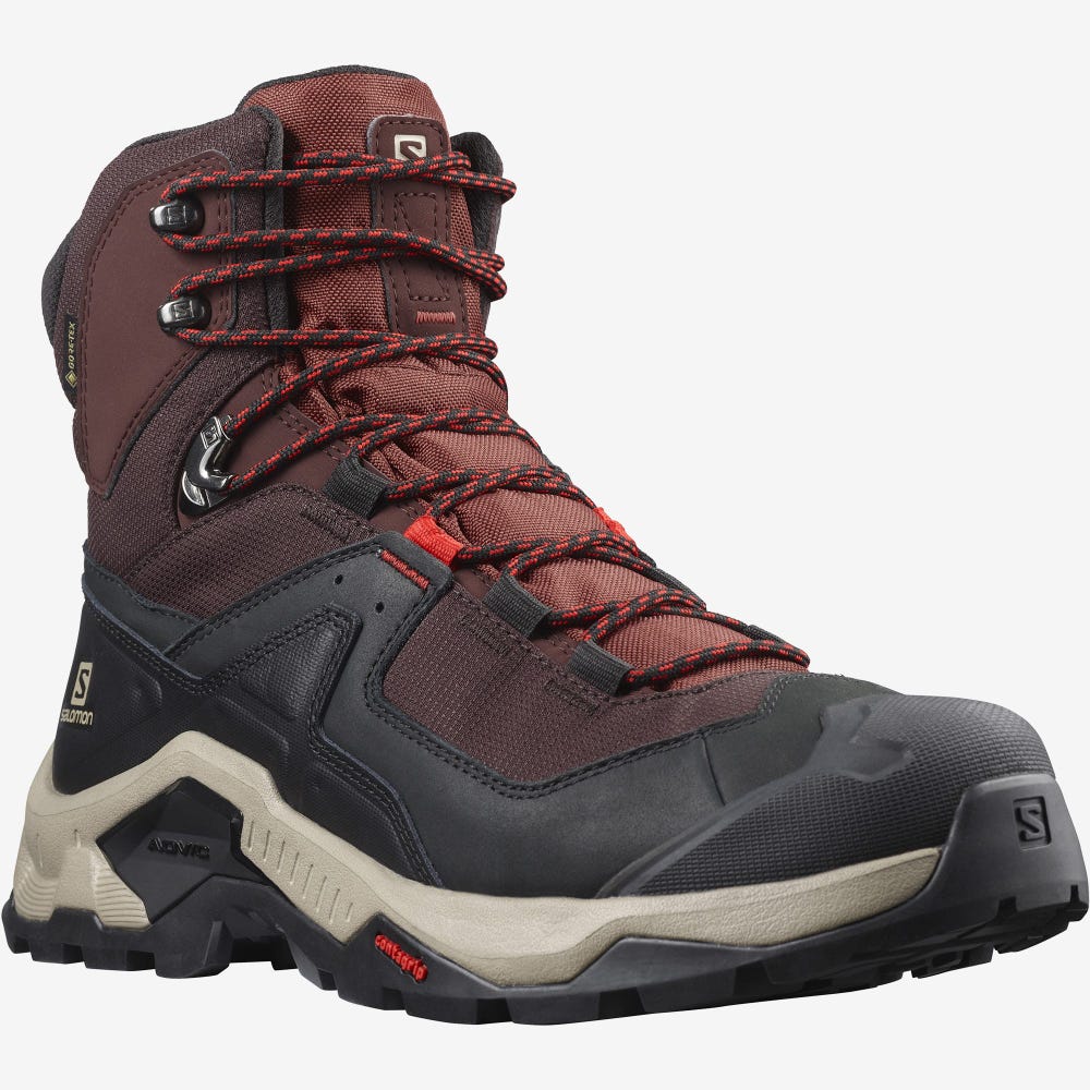 Salomon QUEST ELEMENT GORE-TEX Túrabakancs Férfi Csokoládé Lila/Barna | HU183756