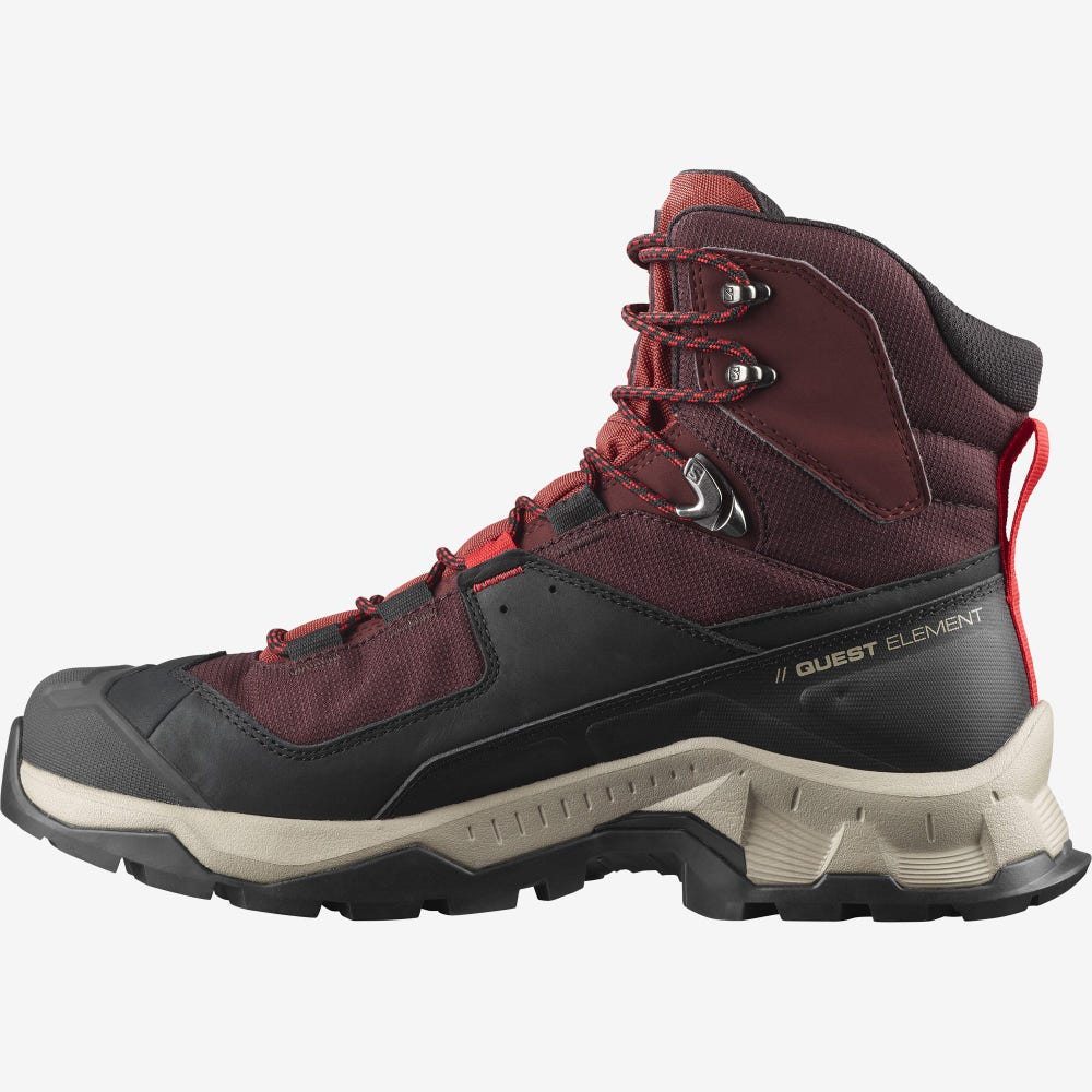 Salomon QUEST ELEMENT GORE-TEX Túrabakancs Férfi Csokoládé Lila/Barna | HU183756