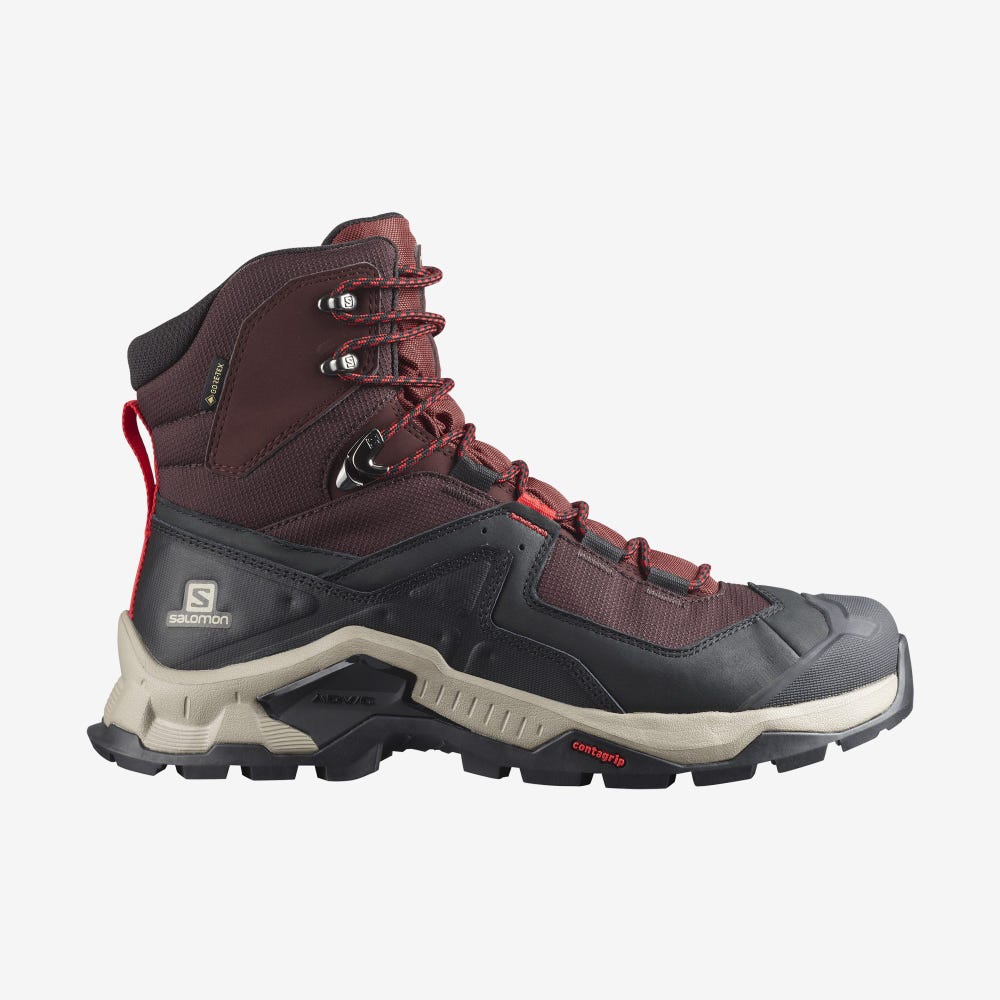 Salomon QUEST ELEMENT GORE-TEX Túrabakancs Férfi Csokoládé Lila/Barna | HU183756