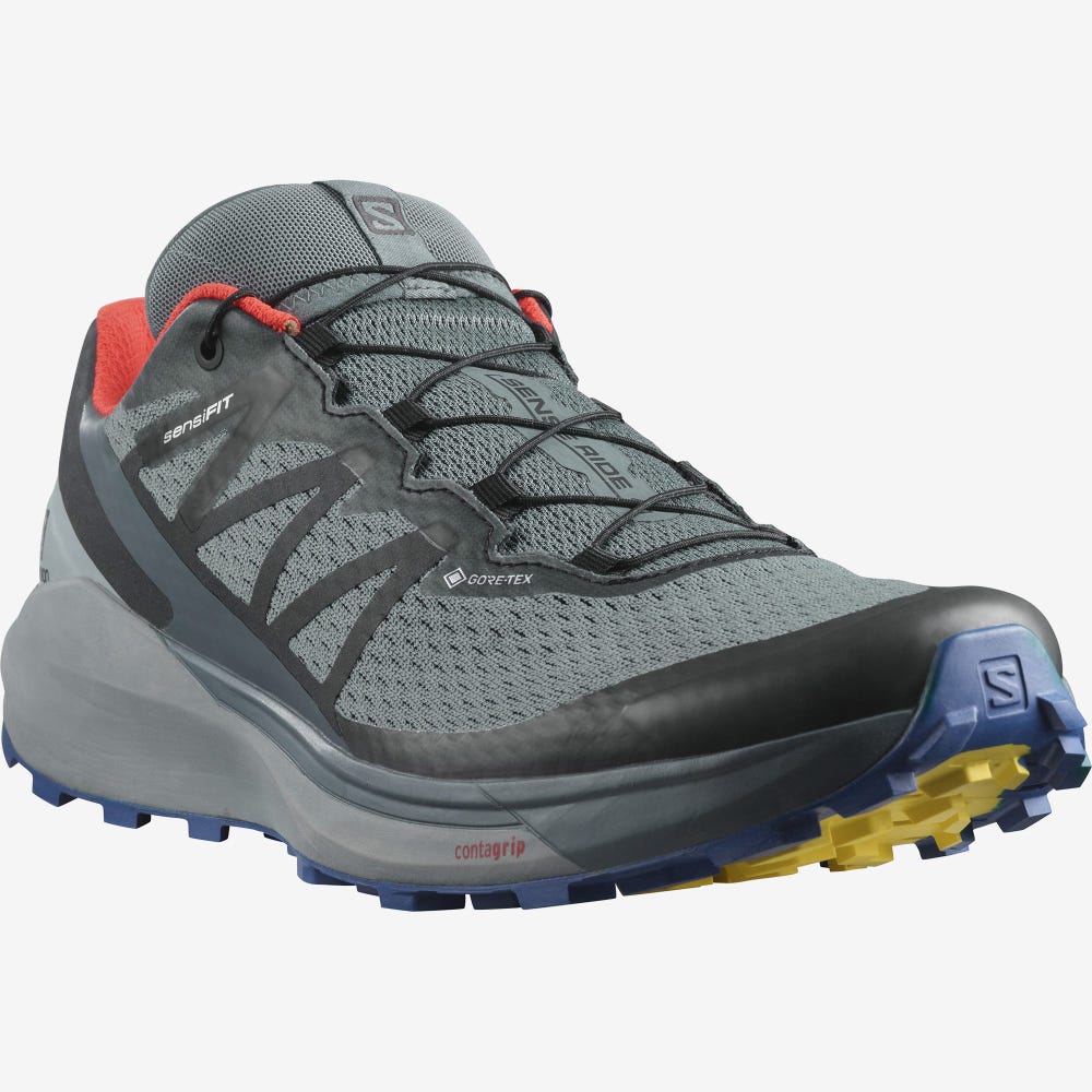 Salomon SENSE RIDE 4 GORE-TEX INVISIBLE FIT Terepfutó Cipő Férfi Szürke | HU824753