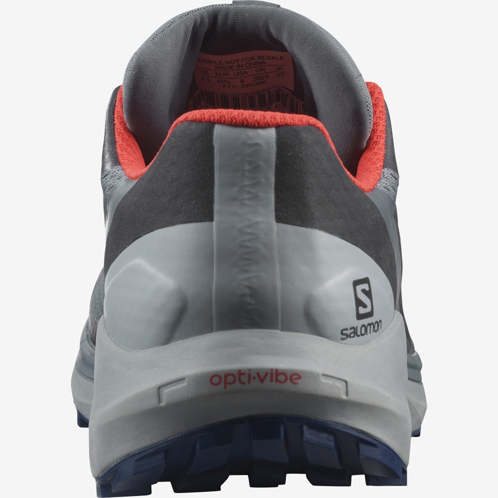 Salomon SENSE RIDE 4 GORE-TEX INVISIBLE FIT Terepfutó Cipő Férfi Szürke | HU824753