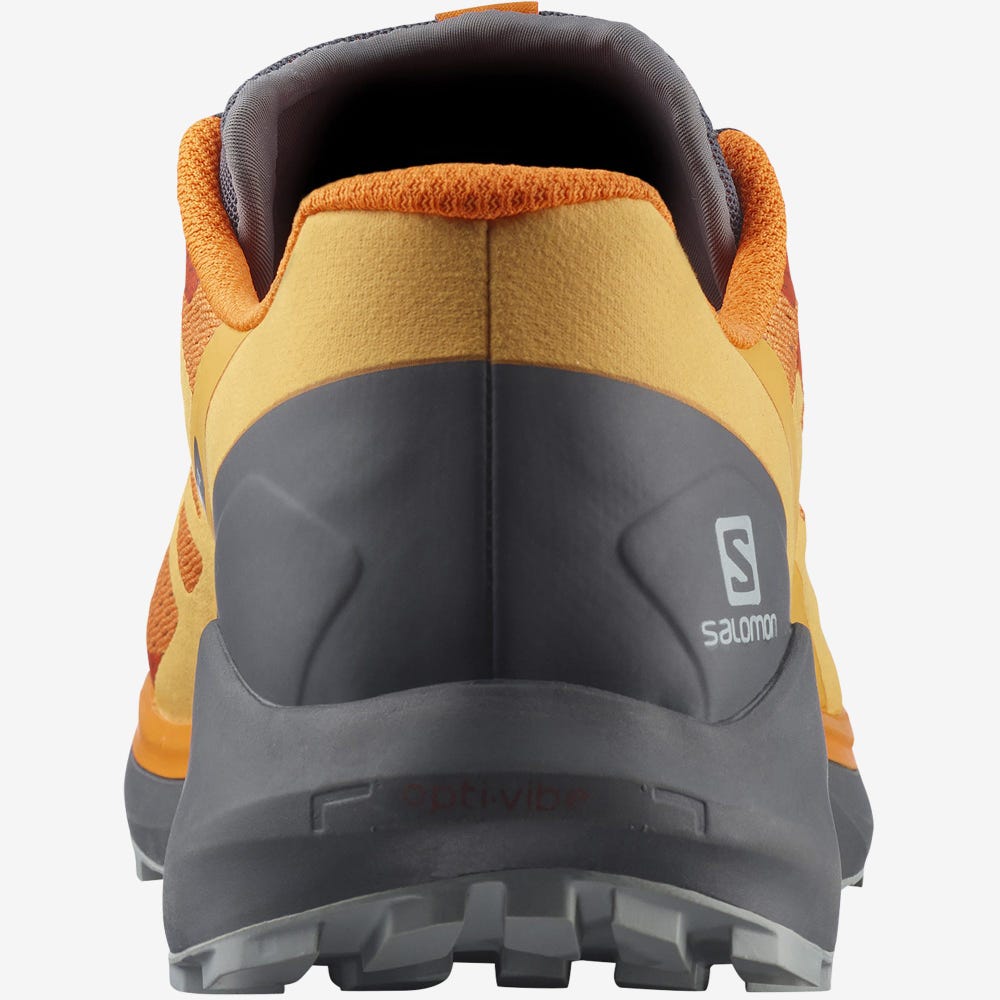 Salomon SENSE RIDE 4 Terepfutó Cipő Férfi Narancssárga | HU348062