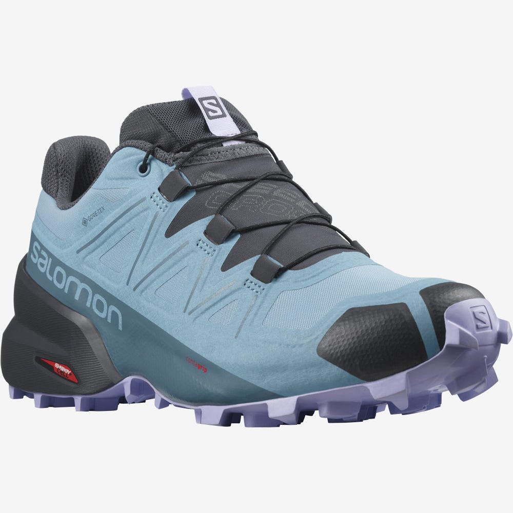 Salomon SPEEDCROSS 5 GORE-TEX Terepfutó Cipő Női Kék/Levendula | HU381495