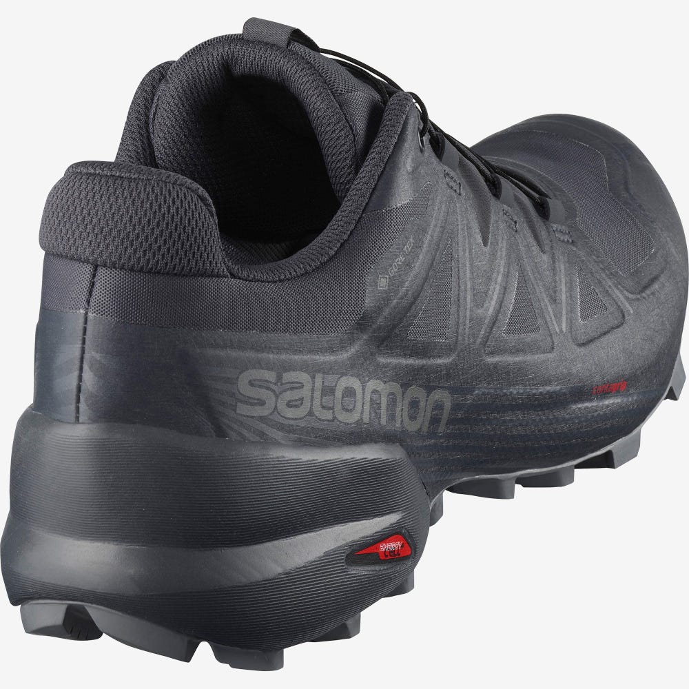 Salomon SPEEDCROSS 5 GTX NOCTURNE Terepfutó Cipő Női Szürke/Fekete | HU164729