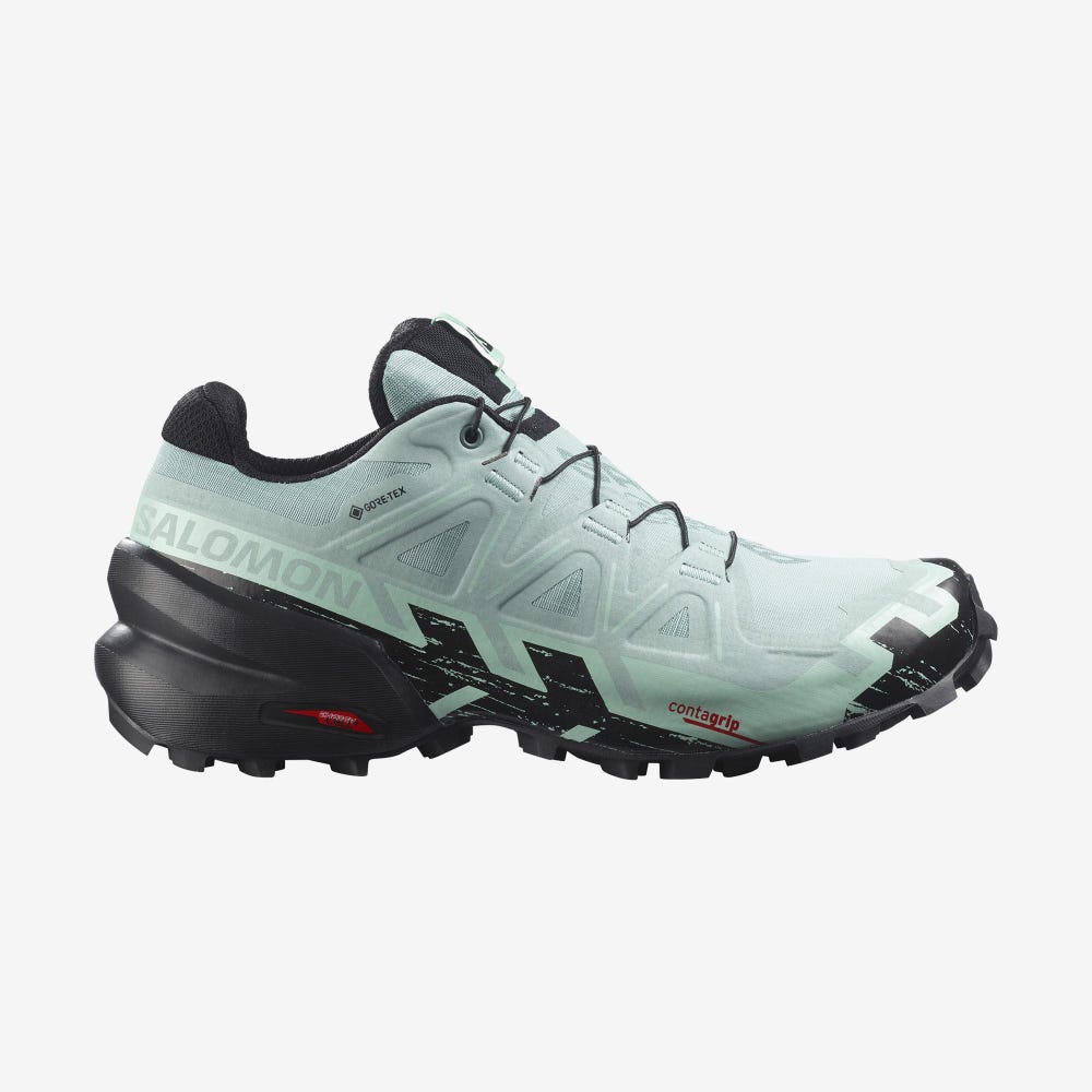 Salomon SPEEDCROSS 6 GORE-TEX Terepfutó Cipő Női Türkiz/Fekete | HU358176