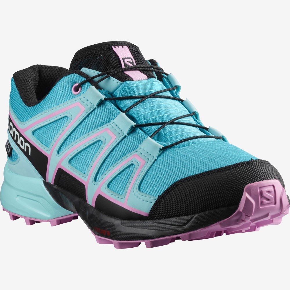 Salomon SPEEDCROSS CLIMASALOMON™ WATERPROOF Túrabakancs Gyerek Kék/Türkiz/Lila | HU346589