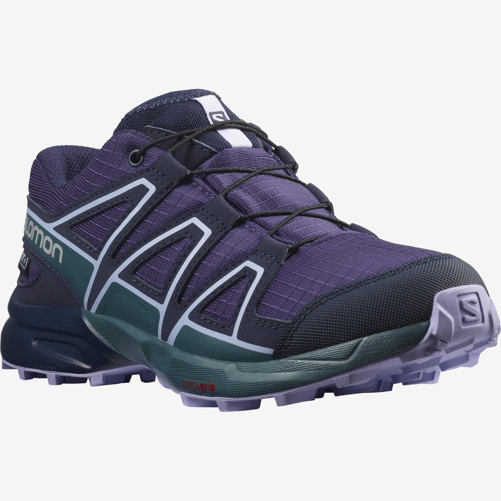 Salomon SPEEDCROSS CLIMASALOMON™ WATERPROOF Túrabakancs Gyerek Lila/Kék/Levendula | HU502631