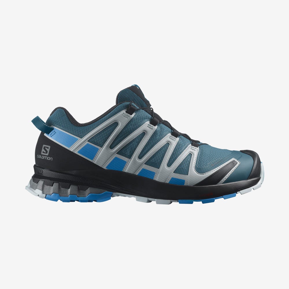 Salomon XA PRO 3D v8 GORE-TEX Terepfutó Cipő Férfi Kék | HU098351