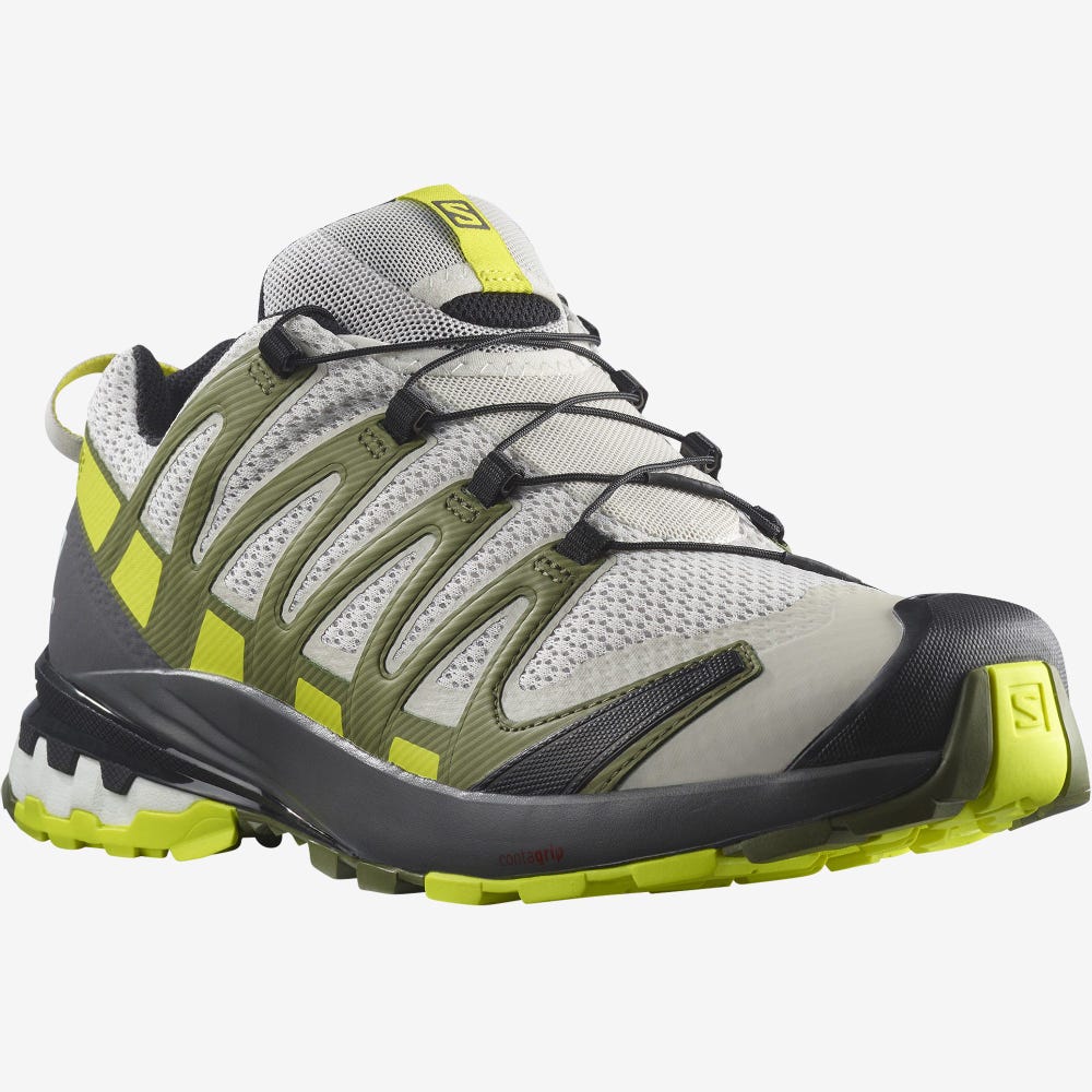 Salomon XA PRO 3D v8 Terepfutó Cipő Férfi Szürke/Zöld | HU128765