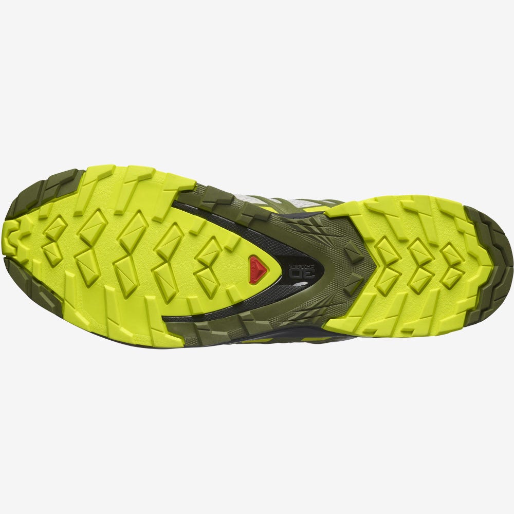 Salomon XA PRO 3D v8 Terepfutó Cipő Férfi Szürke/Zöld | HU128765