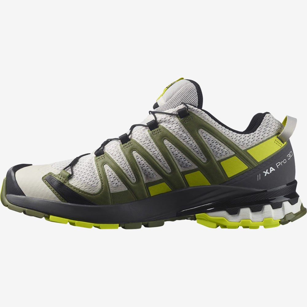 Salomon XA PRO 3D v8 Terepfutó Cipő Férfi Szürke/Zöld | HU128765