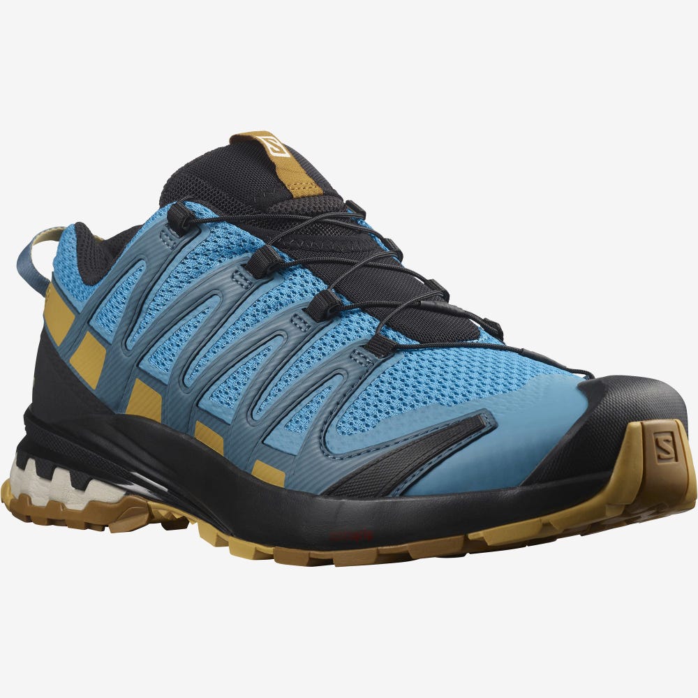 Salomon XA PRO 3D v8 Terepfutó Cipő Férfi Kék/Barna | HU251790