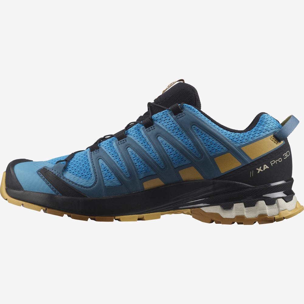 Salomon XA PRO 3D v8 Terepfutó Cipő Férfi Kék/Barna | HU251790