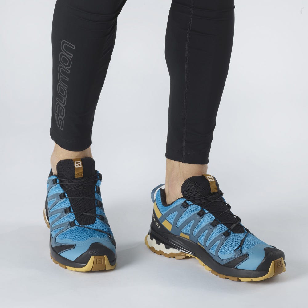 Salomon XA PRO 3D v8 Terepfutó Cipő Férfi Kék/Barna | HU251790