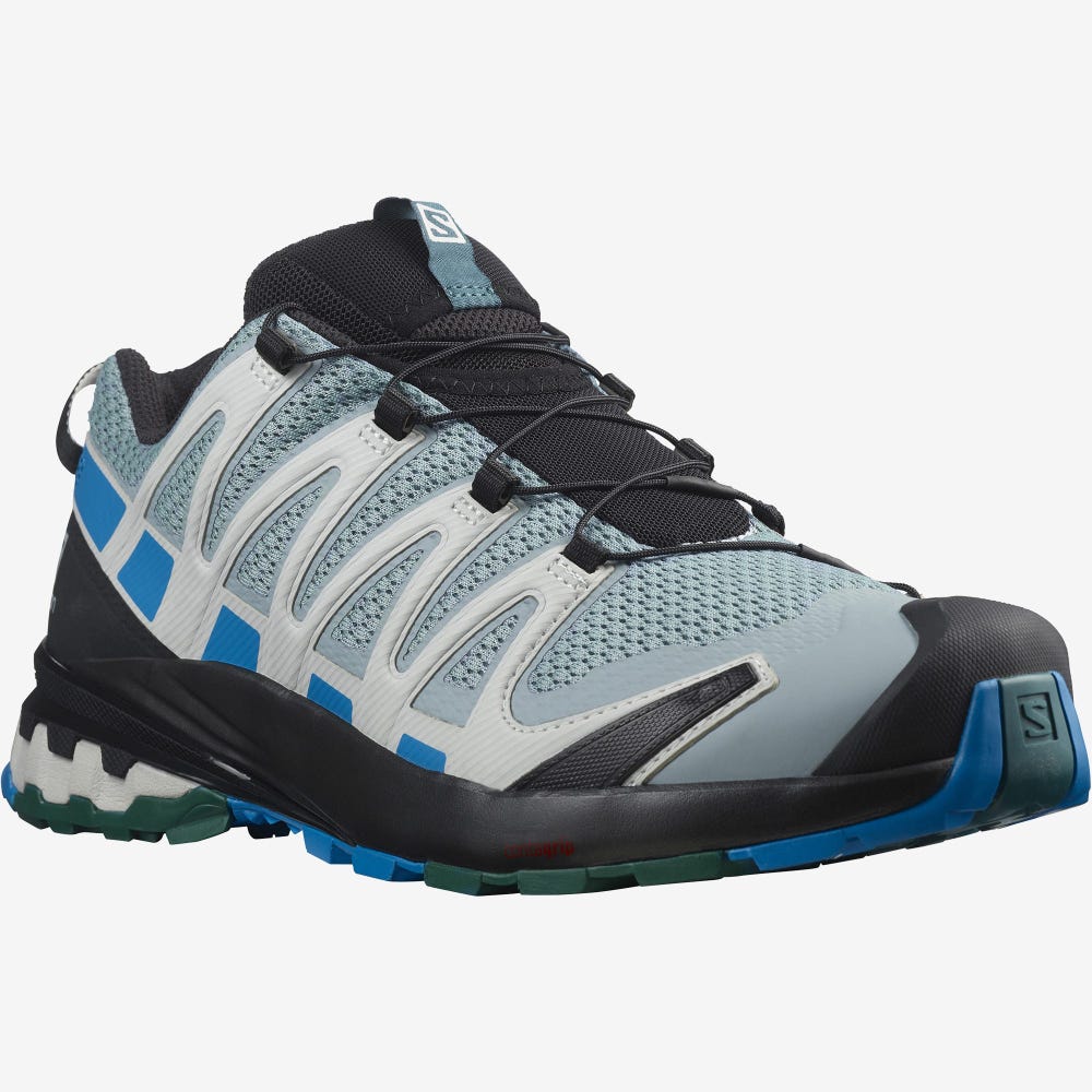 Salomon XA PRO 3D v8 Terepfutó Cipő Férfi Zöld/Kék | HU485327