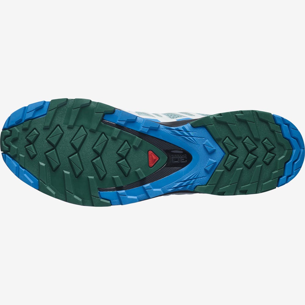 Salomon XA PRO 3D v8 Terepfutó Cipő Férfi Zöld/Kék | HU485327