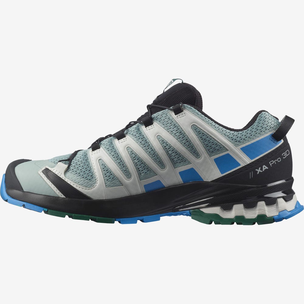 Salomon XA PRO 3D v8 Terepfutó Cipő Férfi Zöld/Kék | HU485327