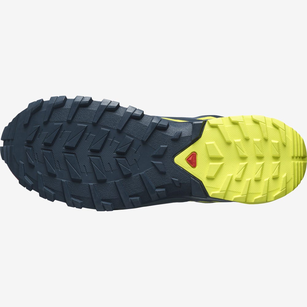 Salomon XA ROGG 2 GORE-TEX Terepfutó Cipő Férfi Sötétkék | HU063748