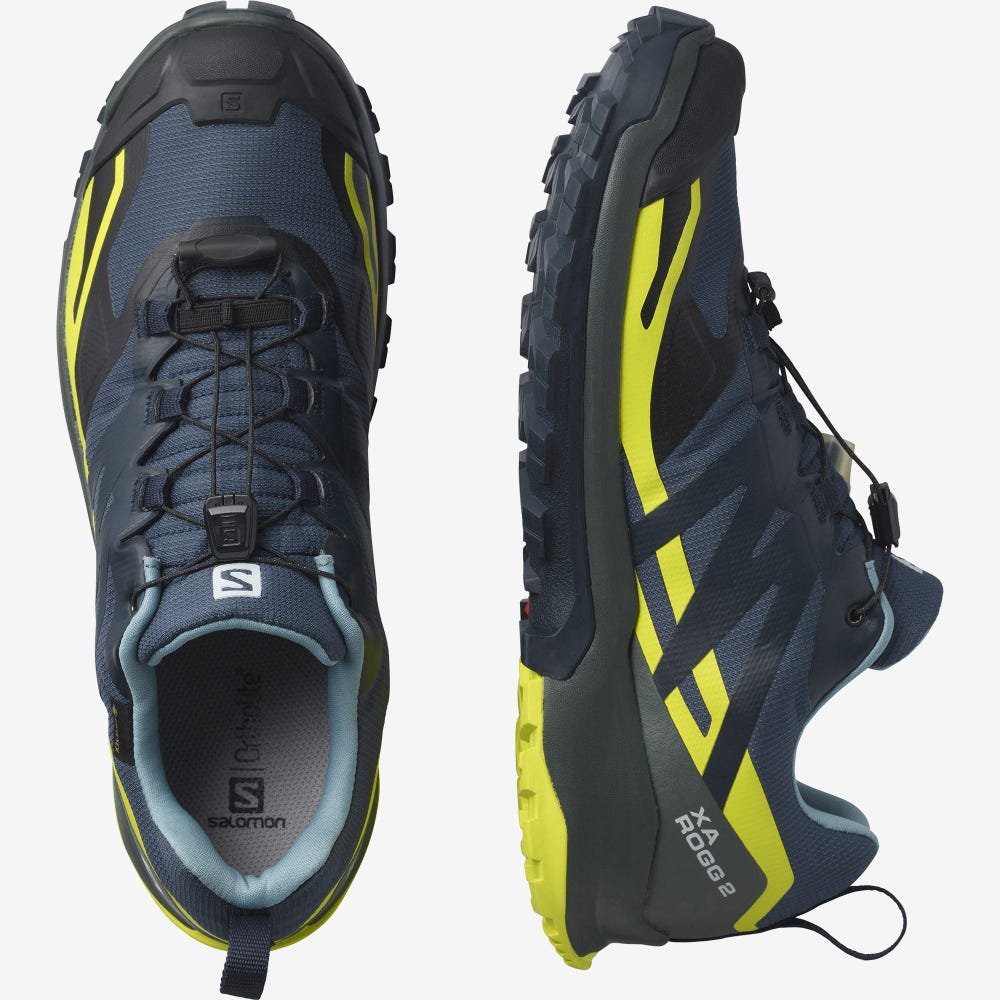 Salomon XA ROGG 2 GORE-TEX Terepfutó Cipő Férfi Sötétkék | HU063748