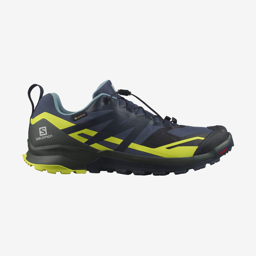 Salomon XA ROGG 2 GORE-TEX Terepfutó Cipő Férfi Sötétkék | HU063748