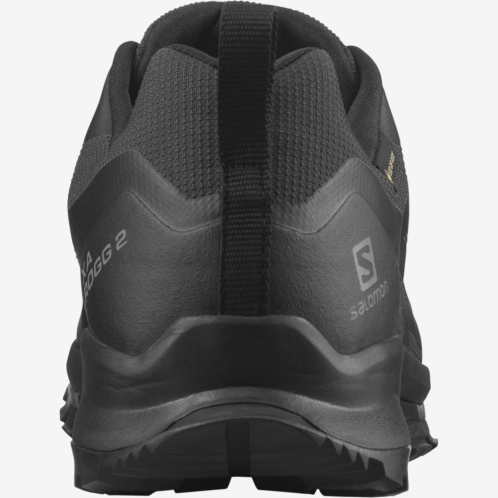 Salomon XA ROGG 2 GORE-TEX Terepfutó Cipő Férfi Fekete | HU918467