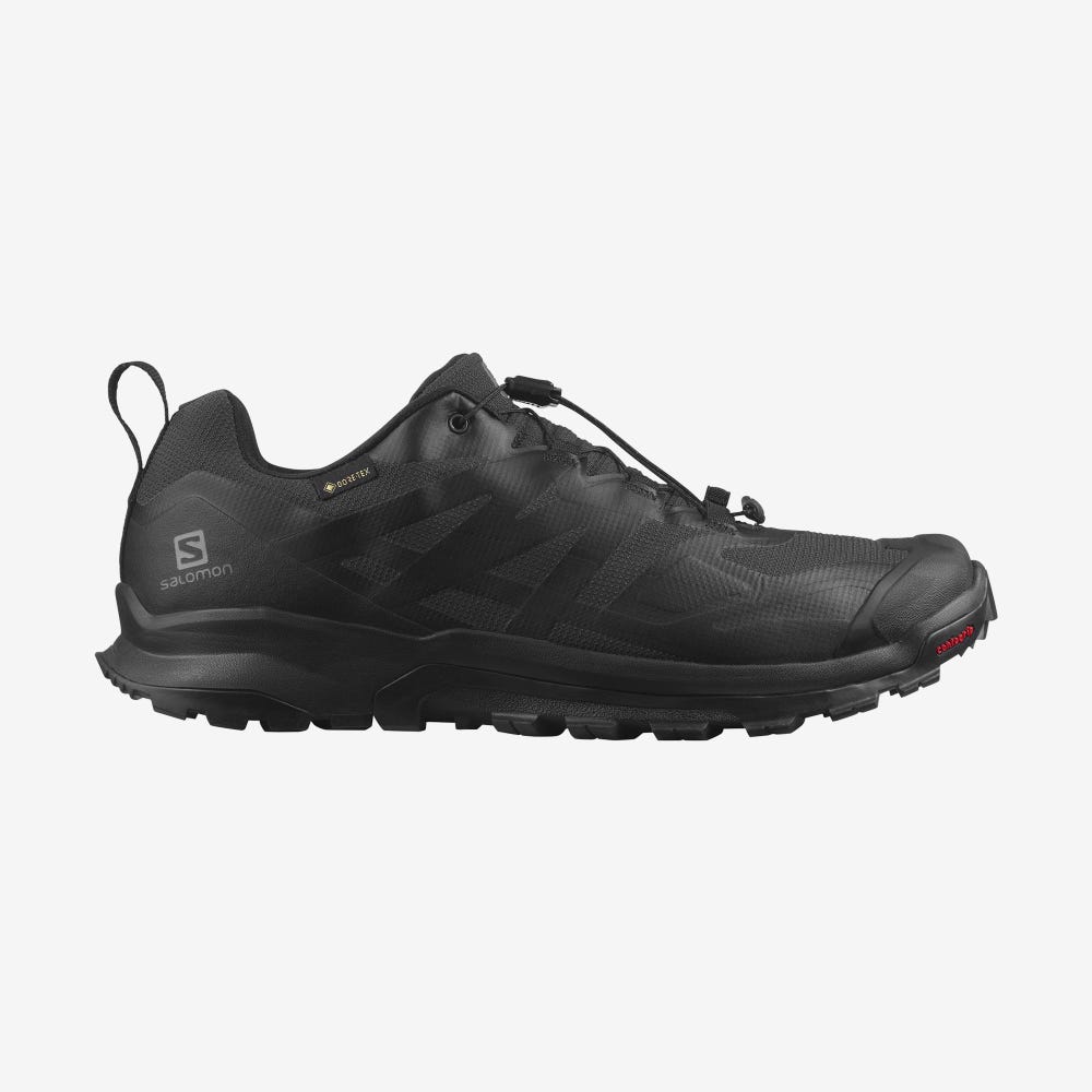 Salomon XA ROGG 2 GORE-TEX Terepfutó Cipő Férfi Fekete | HU918467