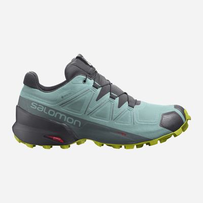 Salomon SPEEDCROSS 5 GORE-TEX Terepfutó Cipő Női Türkiz | HU370894