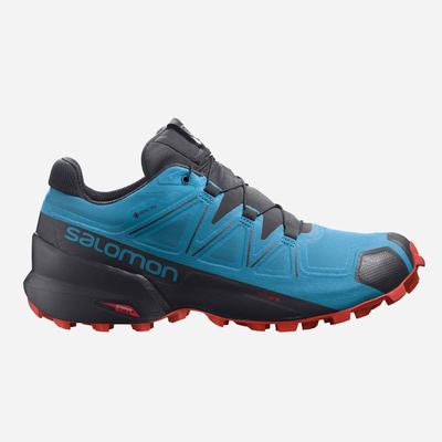 Salomon SPEEDCROSS 5 GORE-TEX Terepfutó Cipő Férfi Kék/Fekete | HU681479