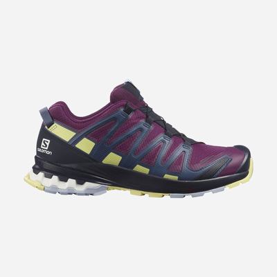 Salomon XA PRO 3D v8 GORE-TEX Terepfutó Cipő Női Lila/Kék | HU753691