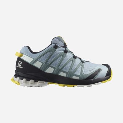 Salomon XA PRO 3D v8 GORE-TEX Terepfutó Cipő Női Kék/Fehér | HU862510