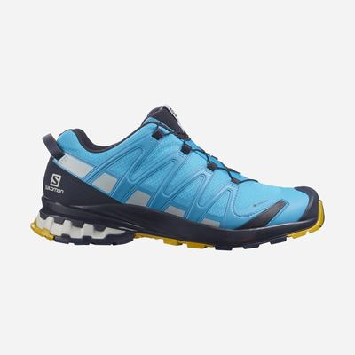 Salomon XA PRO 3D v8 GORE-TEX Túracipő Férfi Kék | HU802731