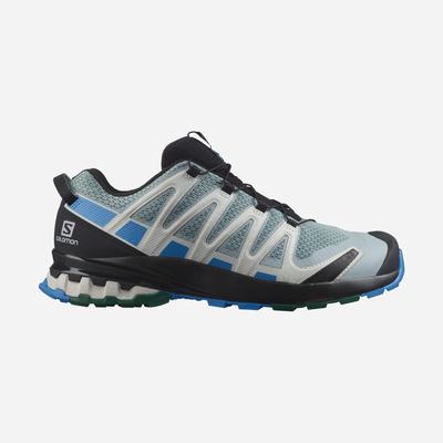 Salomon XA PRO 3D v8 Terepfutó Cipő Férfi Zöld/Kék | HU485327