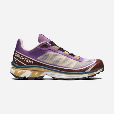 Salomon XT-6 FT Sportcipő Férfi Királykék Lila/Csokoládé | HU138460